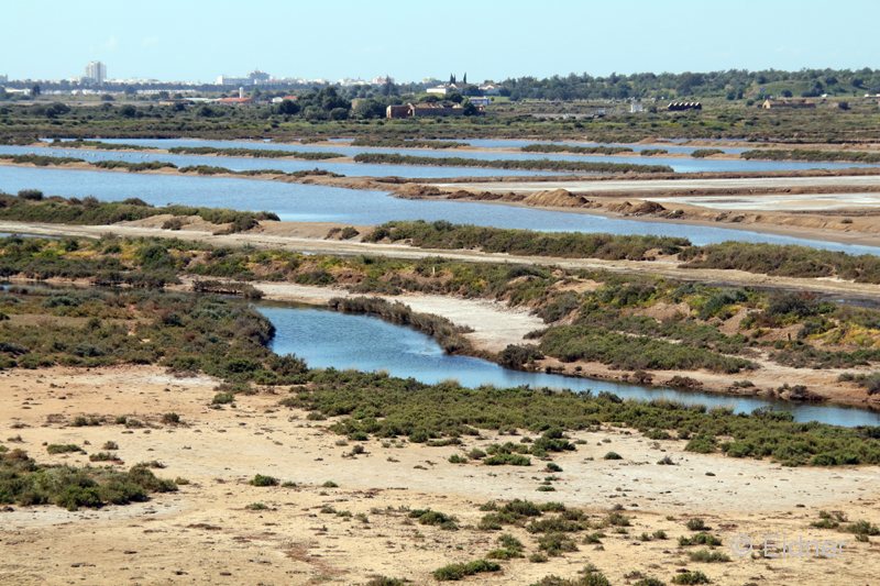 01_IMG_3197_JE_NSG-Castro-Marim