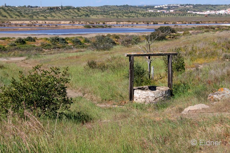 02_IMG_3208_JE_NSG-Castro-Marim