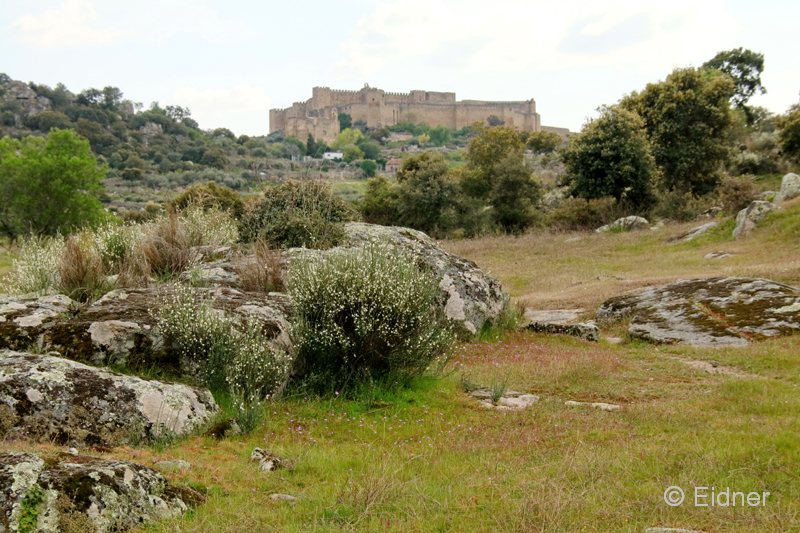 03_IMG_5008_JE_Trujillo