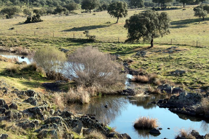 05_IMG_3326_JE_Extremadura_Rio-Almonte