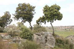 04_IMG_4959_Trujillo