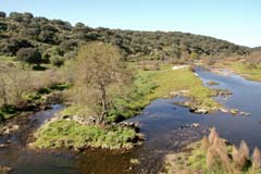 06_IMG_3462_JE_Extremadura_Rio-Almonte
