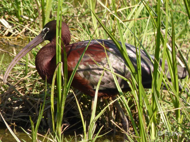 08_P1110812_La-Rocina_Sichler