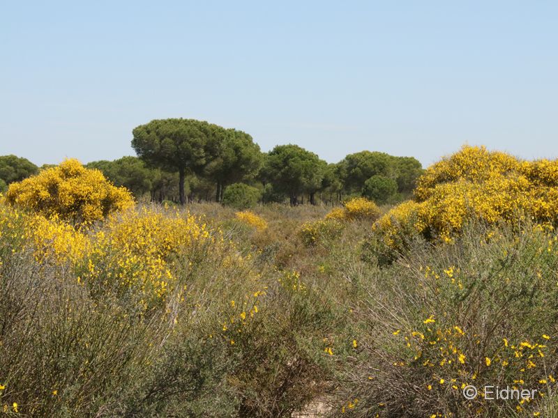 10_IMG_5363_JE_Acebrone