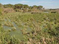 06_IMG_5331_JE_La-Rocina