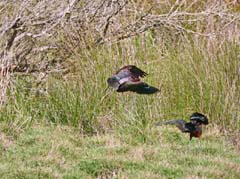 07_P1110772_La-Rocina_Sichler