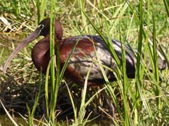 08_P1110812_La-Rocina_Sichler