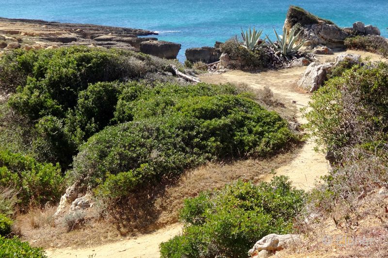 13_DSC01704_Algarve-Albufeira