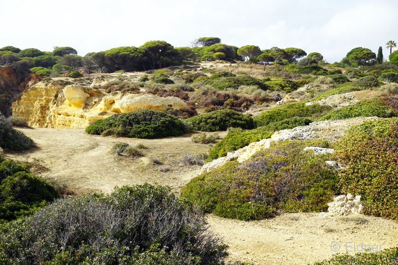 14_DSC04620_JE_Algarve-Albufeira