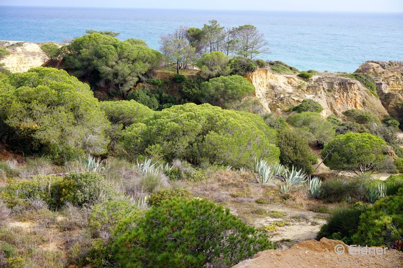 15_DSC04629_JE_Algarve-Albufeira
