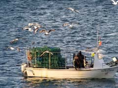 08_S8-Digiskopie_Algarve-Albufeira