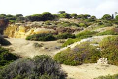 14_DSC04620_JE_Algarve-Albufeira