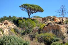 16_P1140845_Algarve-Albufeira