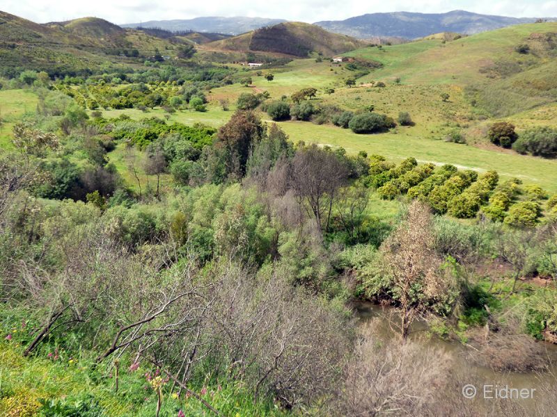 14_P1160503_Odelouca-Tal