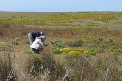 05_P1140602_Kap-Vicente-Umland_Steppe