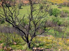 17_P1160443_Odelouca-Tal