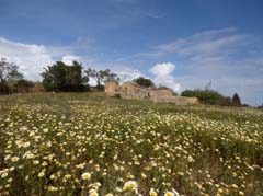 19_P1140023_Mexilhoeira-Grande