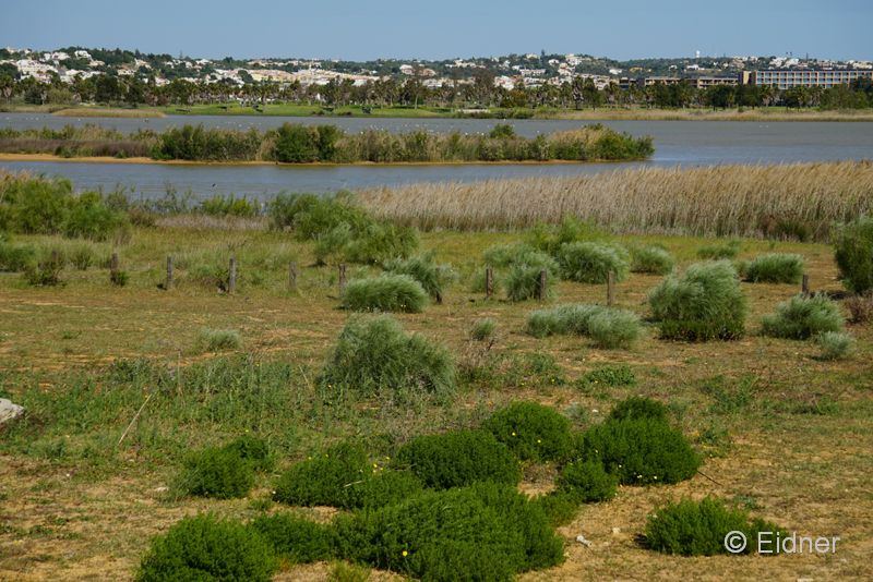 01_DSC02940_JE_Salgados