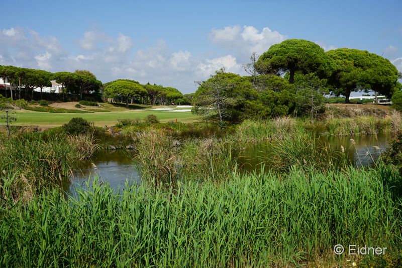 04_DSC01415_JE_Quinto-do-Lago_Golfplatz