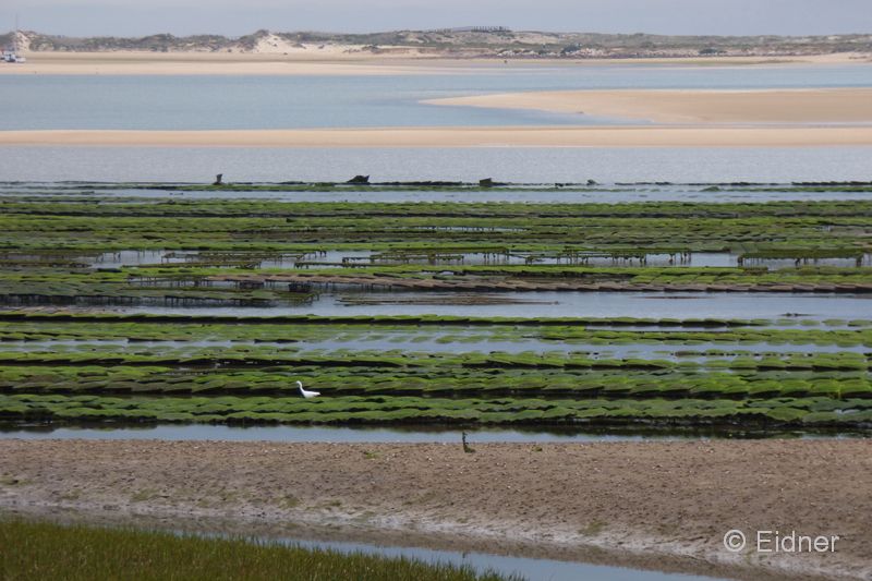 13_P1140086_Alvor-Ästuar_3zu2