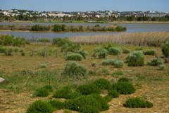 01_DSC02940_JE_Salgados