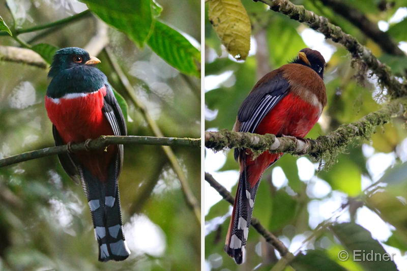 005_4711M_IMG_9769_HF