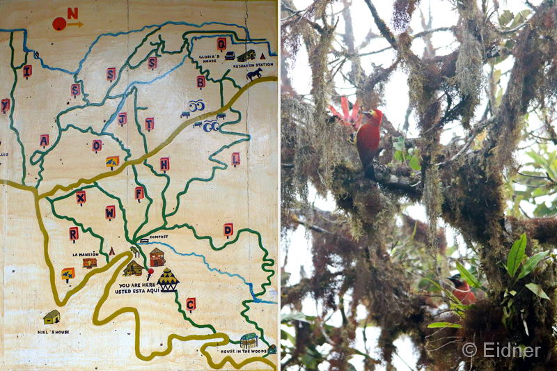 010_P1260430_5301_IMG_9526_HF