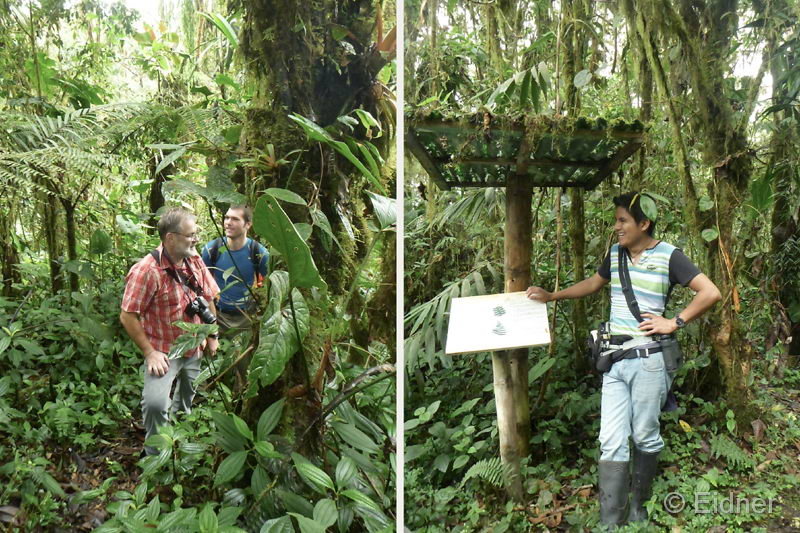 012_P1260226_P1260202_HF