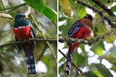 005_4711M_IMG_9769_HF