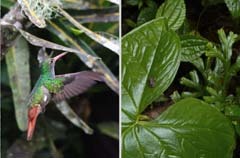 006_4410_IMG_0608_P1260536_HF