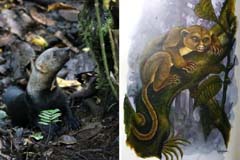 008_IMG_9847_Tayra_Wickelbaer_HF