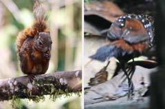 009_IMG_9441_6606_IMG_0044