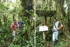 012_P1260226_P1260202_HF