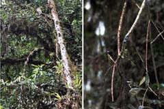 014_3604_IMG_0157_4620_IMG_9943_HF