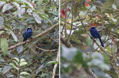 022_4912_IMG_0947_0952_HF