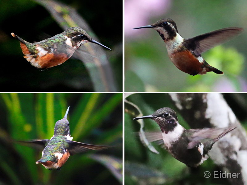 020_4er_4212_800x600