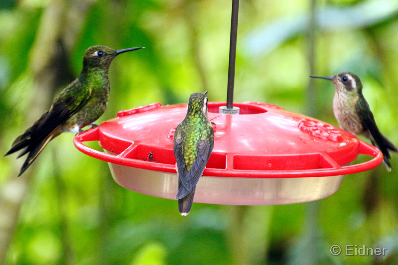 030_4517_4124_IMG_0859