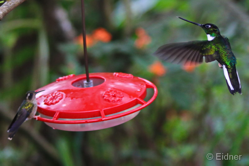 032_4510L_4124R_IMG_9436