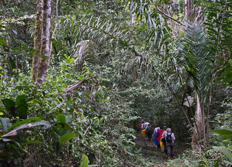 008__Iripari_Jungle_Albert_Personen-29