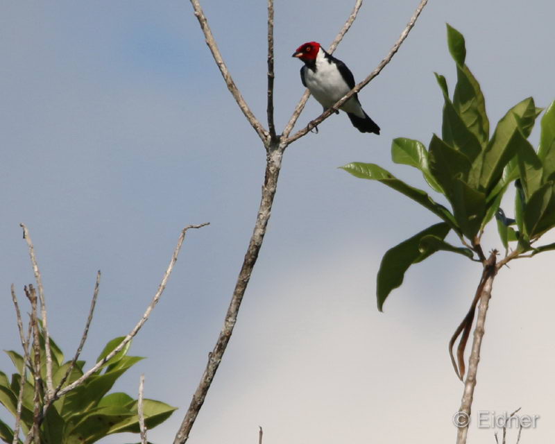 019_9109_IMG_0137_4zu3