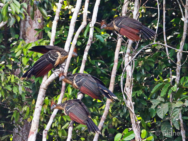 020_3407_IMG_0006_4zu3