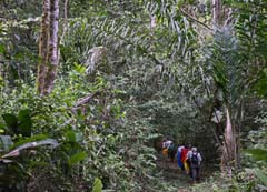 008__Iripari_Jungle_Albert_Personen-29