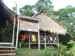 011_Iripari_Jungle_Camp_P1270164