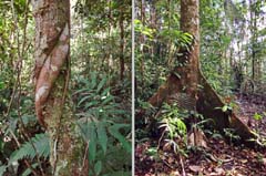 013_DSC00746_DSC00694_2HF