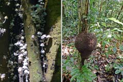 016_P1270288_P1270213_2HF