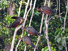 020_3407_IMG_0006_4zu3