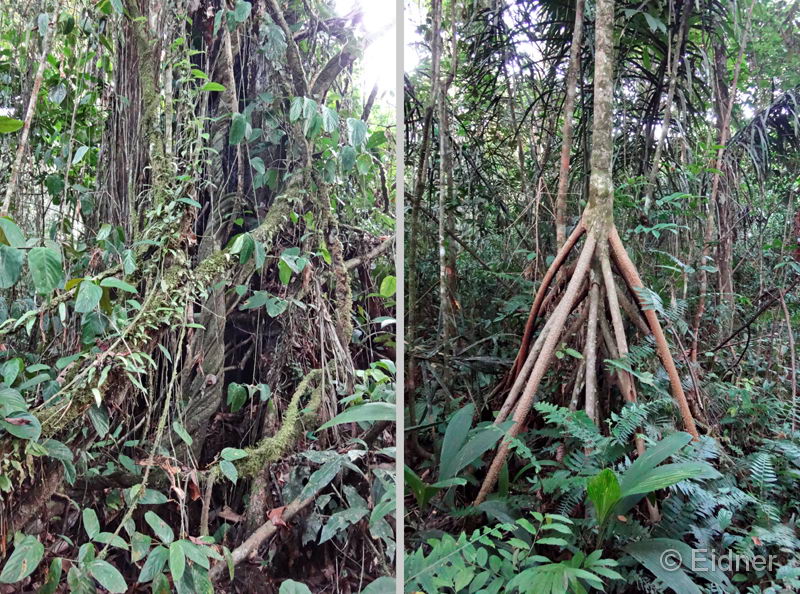 007_Peru_DSC01307_DSC01279_2HF_in4zu3