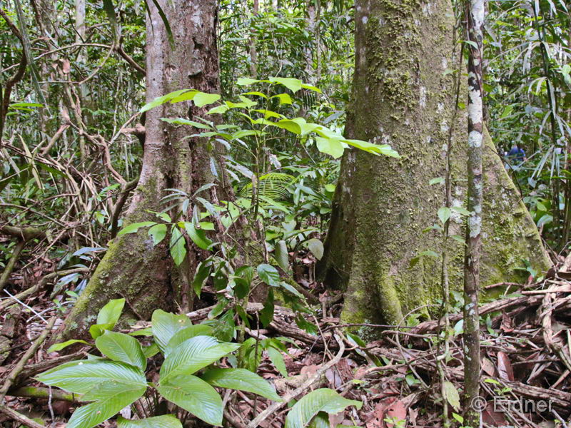 016_Peru_IMG_1117__4zu3