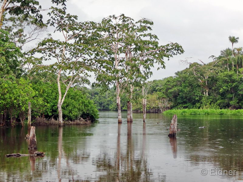 026_Peru_DSC01477_4zu3