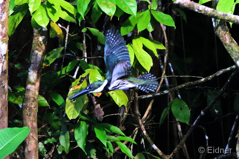 032_4903_Peru_IMG_0627_Sp